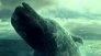 Heart of the Sea - Le Origini di Moby Dick02