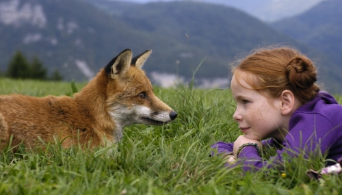 the-fox-the-child