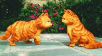 garfield-a-tail-of-two-kitties
