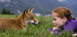 The fox & the child